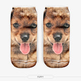 Snuggy Panda 3D Ankle Socks - fashiongram.ca